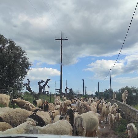 Trullo Contrada Stracca ξενώνας Alliste Εξωτερικό φωτογραφία