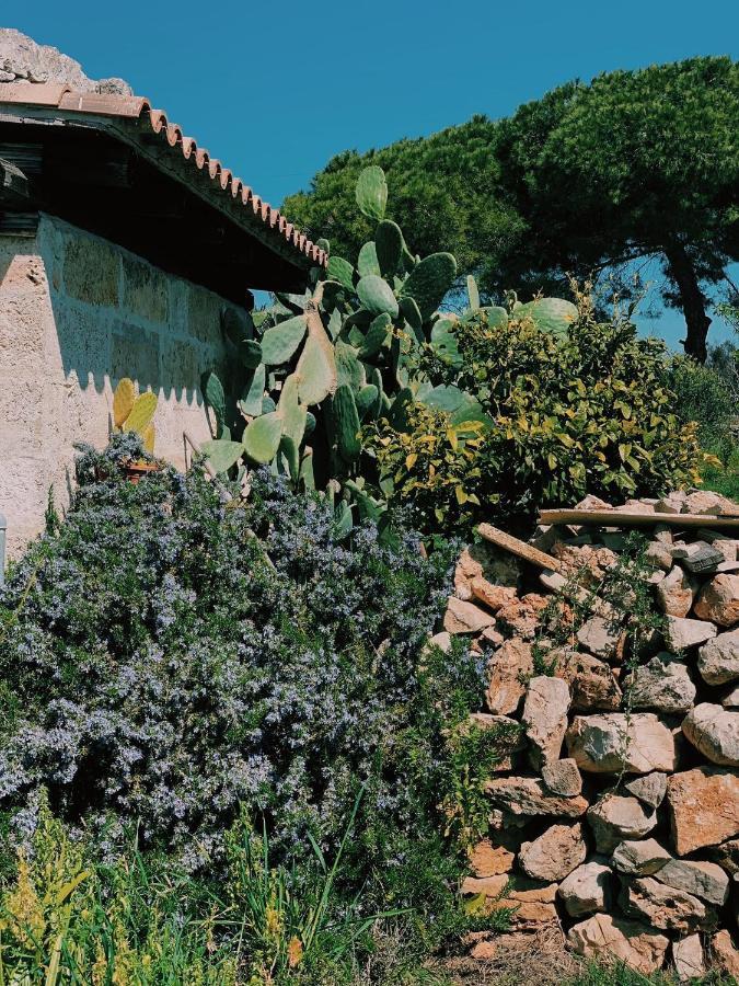 Trullo Contrada Stracca ξενώνας Alliste Εξωτερικό φωτογραφία