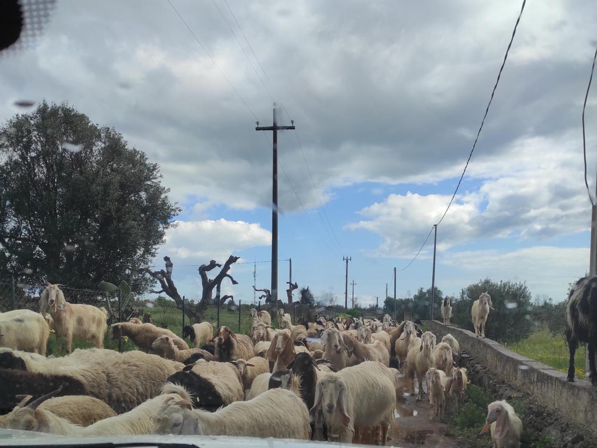 Trullo Contrada Stracca ξενώνας Alliste Εξωτερικό φωτογραφία