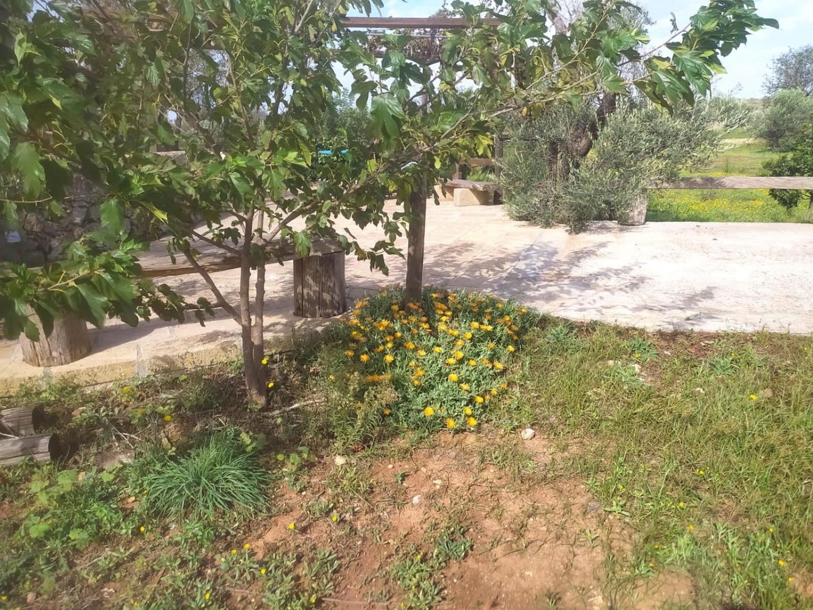 Trullo Contrada Stracca ξενώνας Alliste Εξωτερικό φωτογραφία